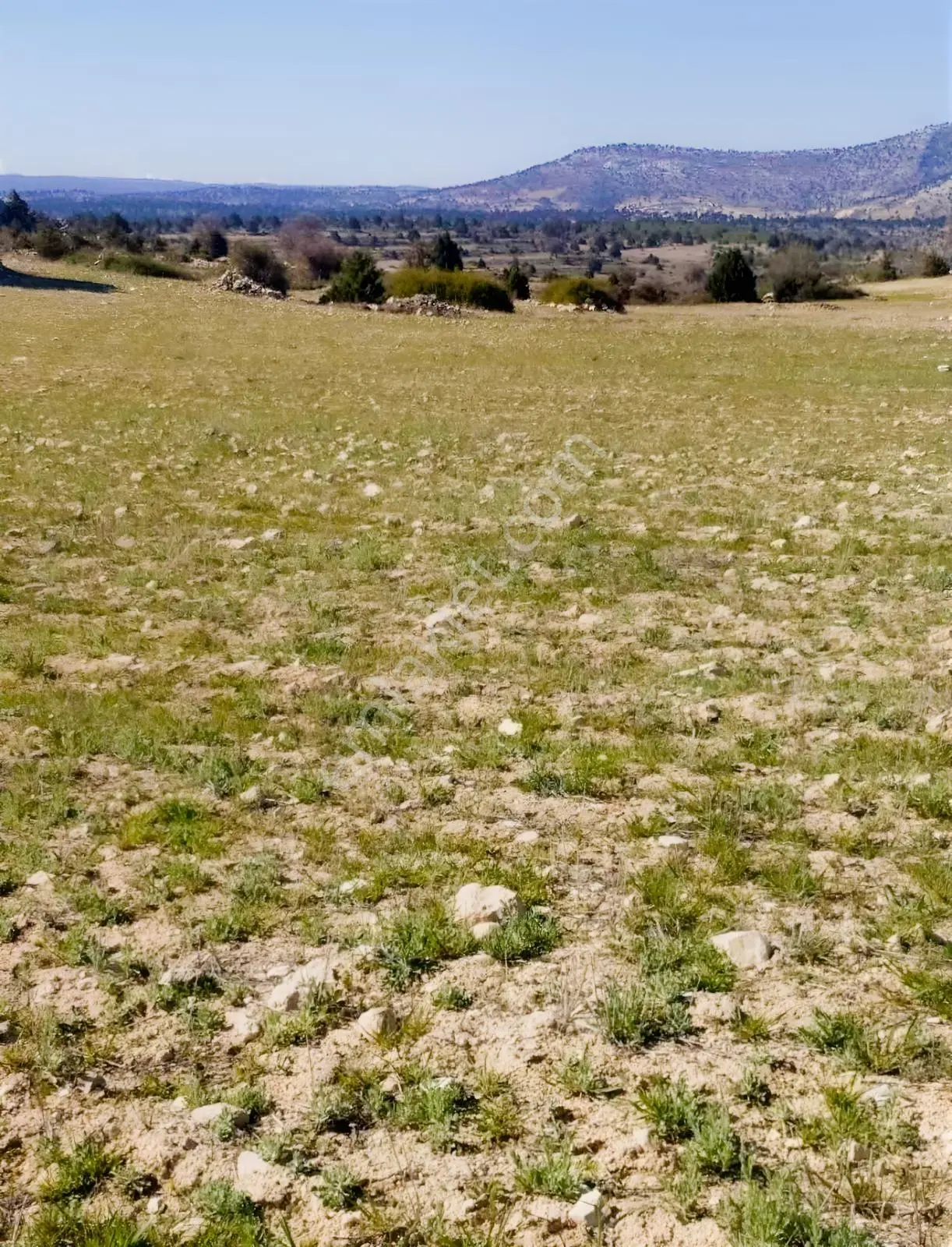 Silifke Kıca'da 17.473 M² Müstakil Tapulu Tarla — fotoğraf 10