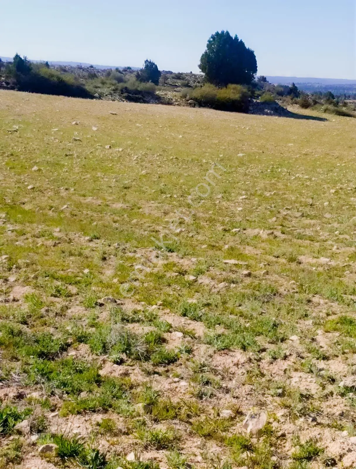 Silifke Kıca'da 17.473 M² Müstakil Tapulu Tarla — fotoğraf 11