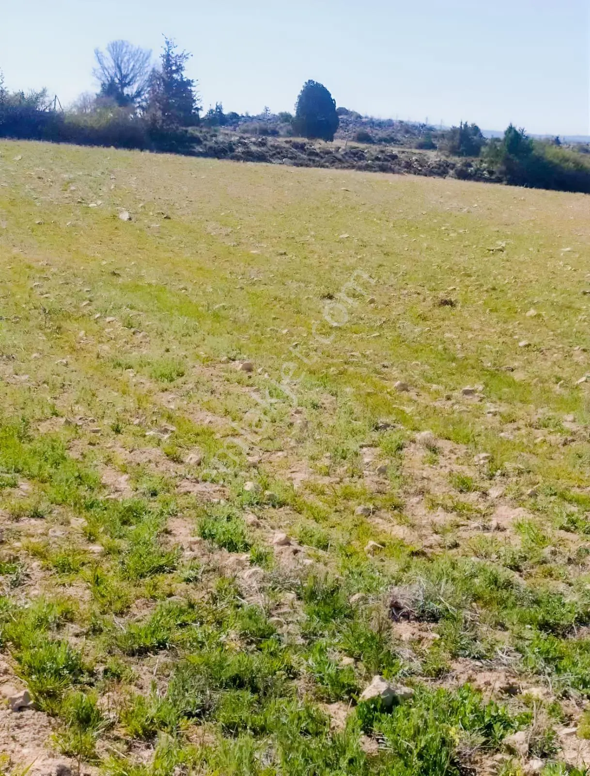 Silifke Kıca'da 17.473 M² Müstakil Tapulu Tarla — fotoğraf 12