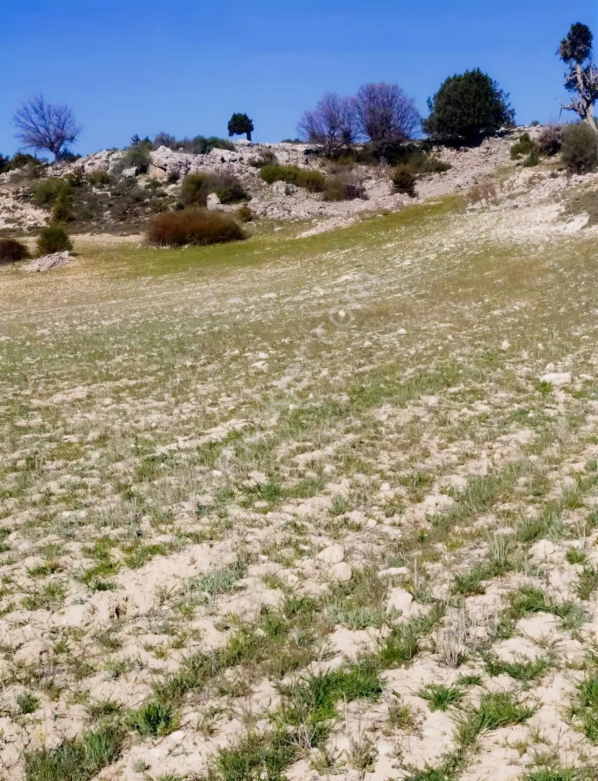 Silifke Kıca'da 17.473 M² Müstakil Tapulu Tarla — fotoğraf 13