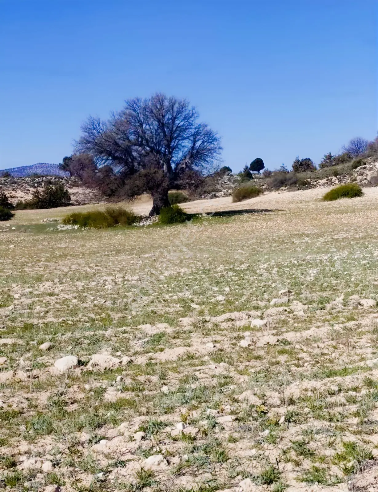 Silifke Kıca'da 17.473 M² Müstakil Tapulu Tarla — fotoğraf 14