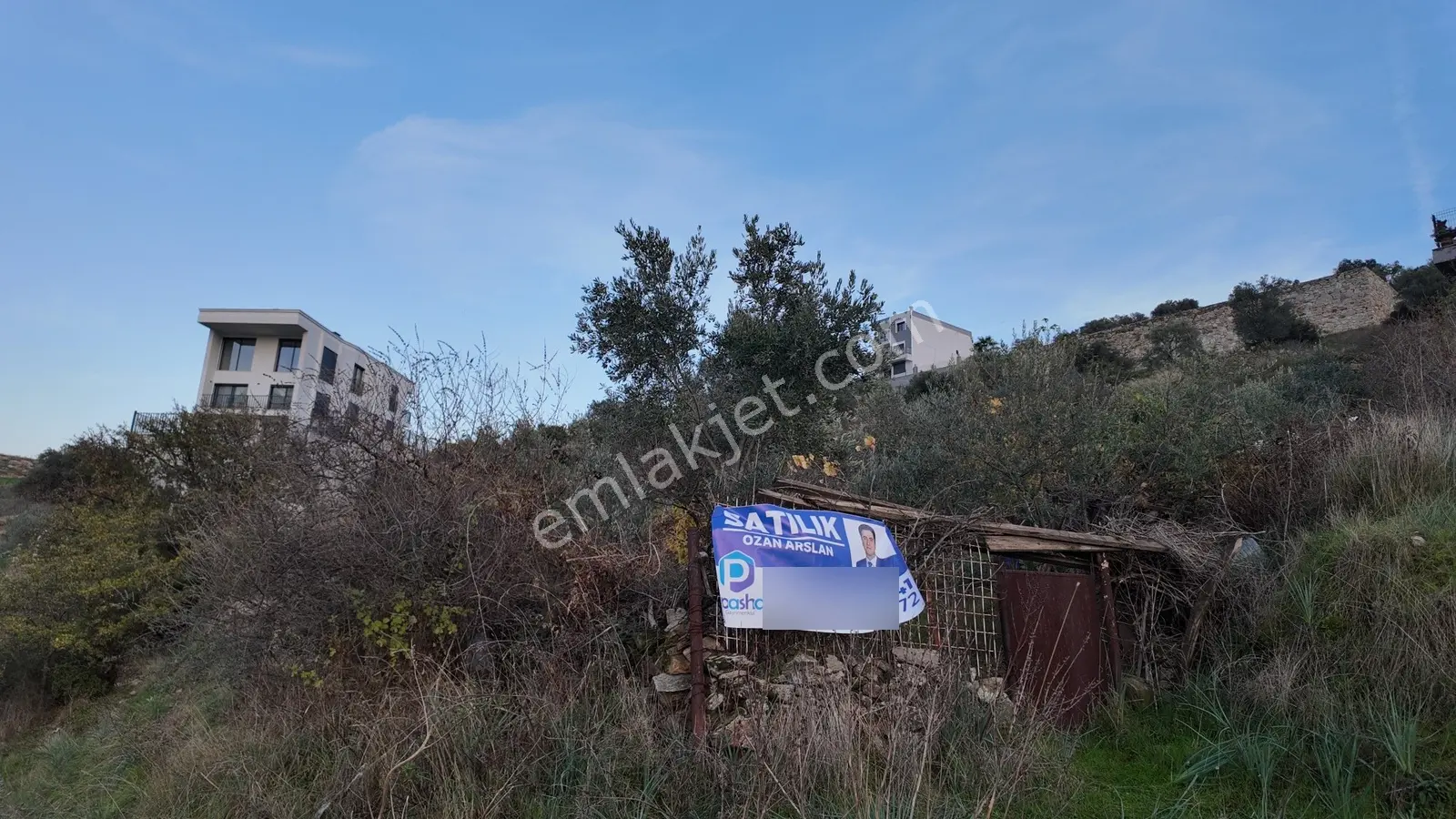 Gündoğan'da Zeytin Ağaçlı, Villa İmarlı Satılık Hobi Bahçesi! — fotoğraf 2