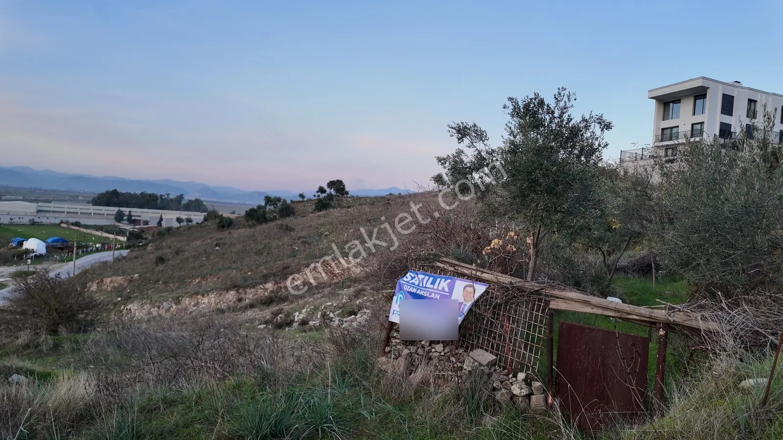Gündoğan'da Zeytin Ağaçlı, Villa İmarlı Satılık Hobi Bahçesi! — fotoğraf 3