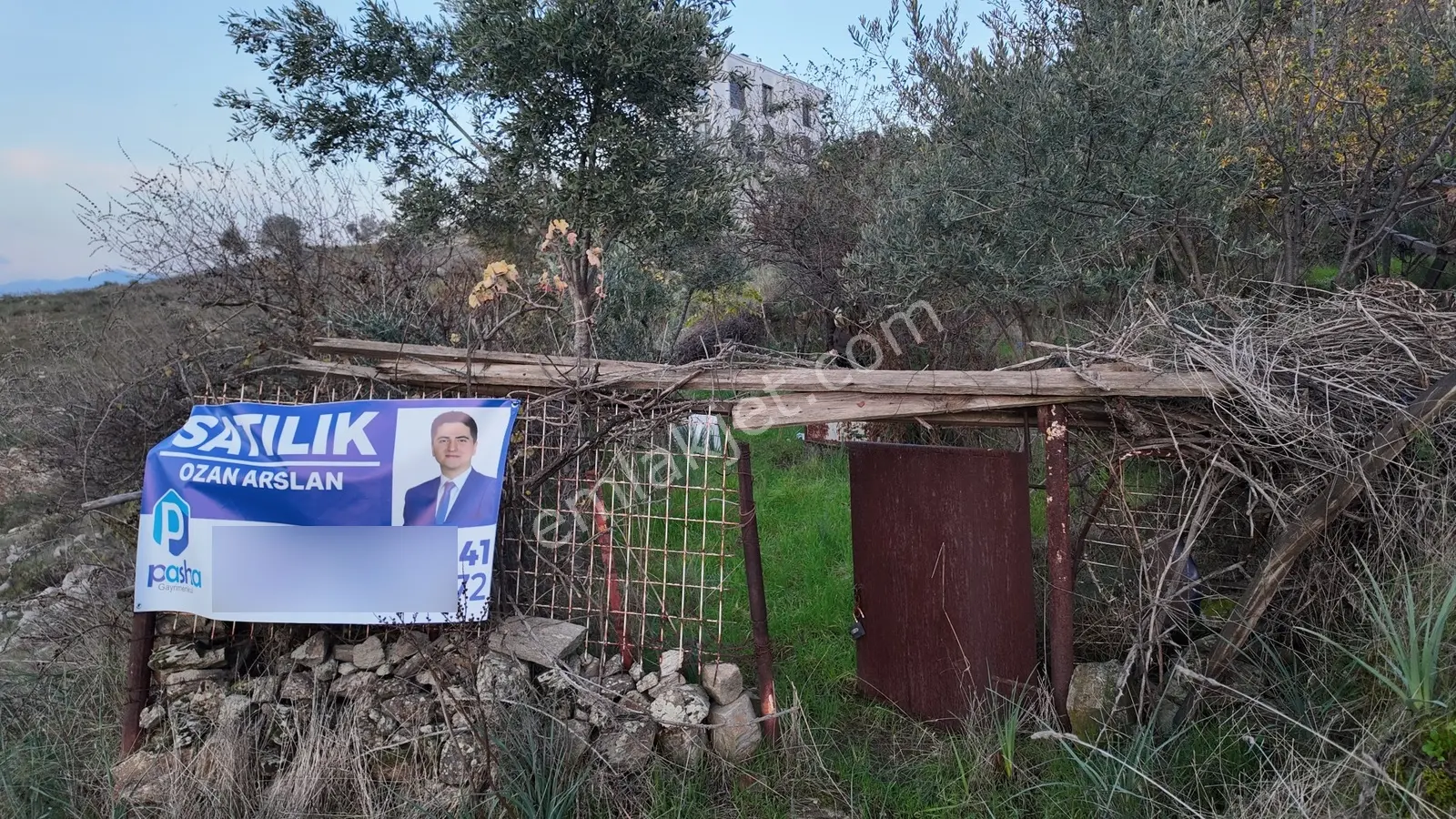Gündoğan'da Zeytin Ağaçlı, Villa İmarlı Satılık Hobi Bahçesi! — fotoğraf 4