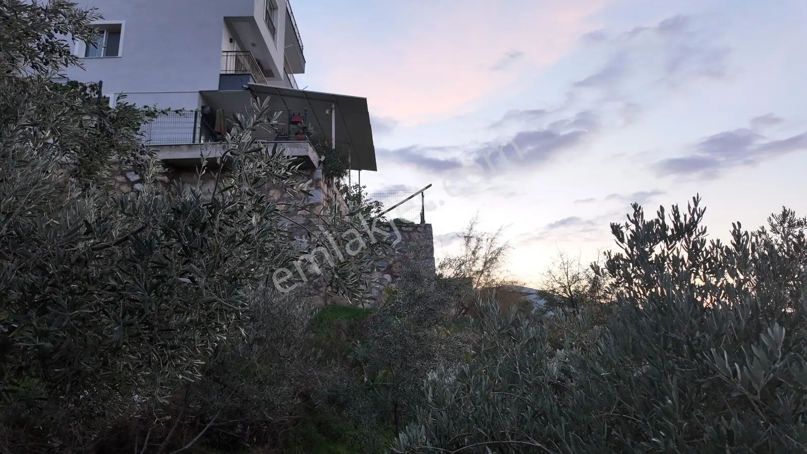 Gündoğan'da Zeytin Ağaçlı, Villa İmarlı Satılık Hobi Bahçesi! — fotoğraf 12