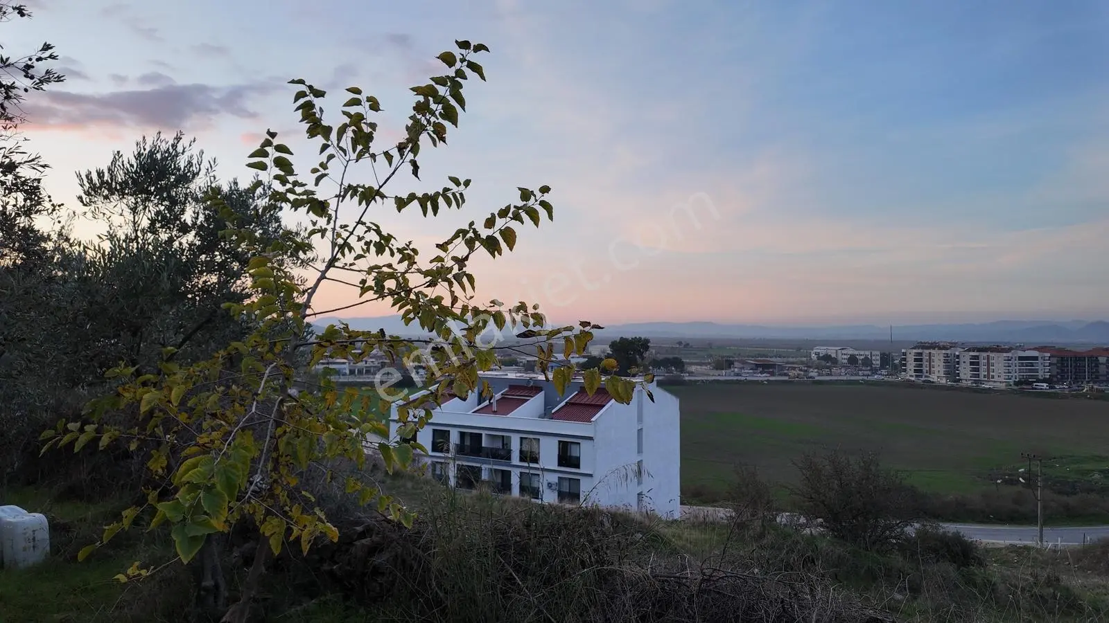 Gündoğan'da Zeytin Ağaçlı, Villa İmarlı Satılık Hobi Bahçesi! — fotoğraf 14