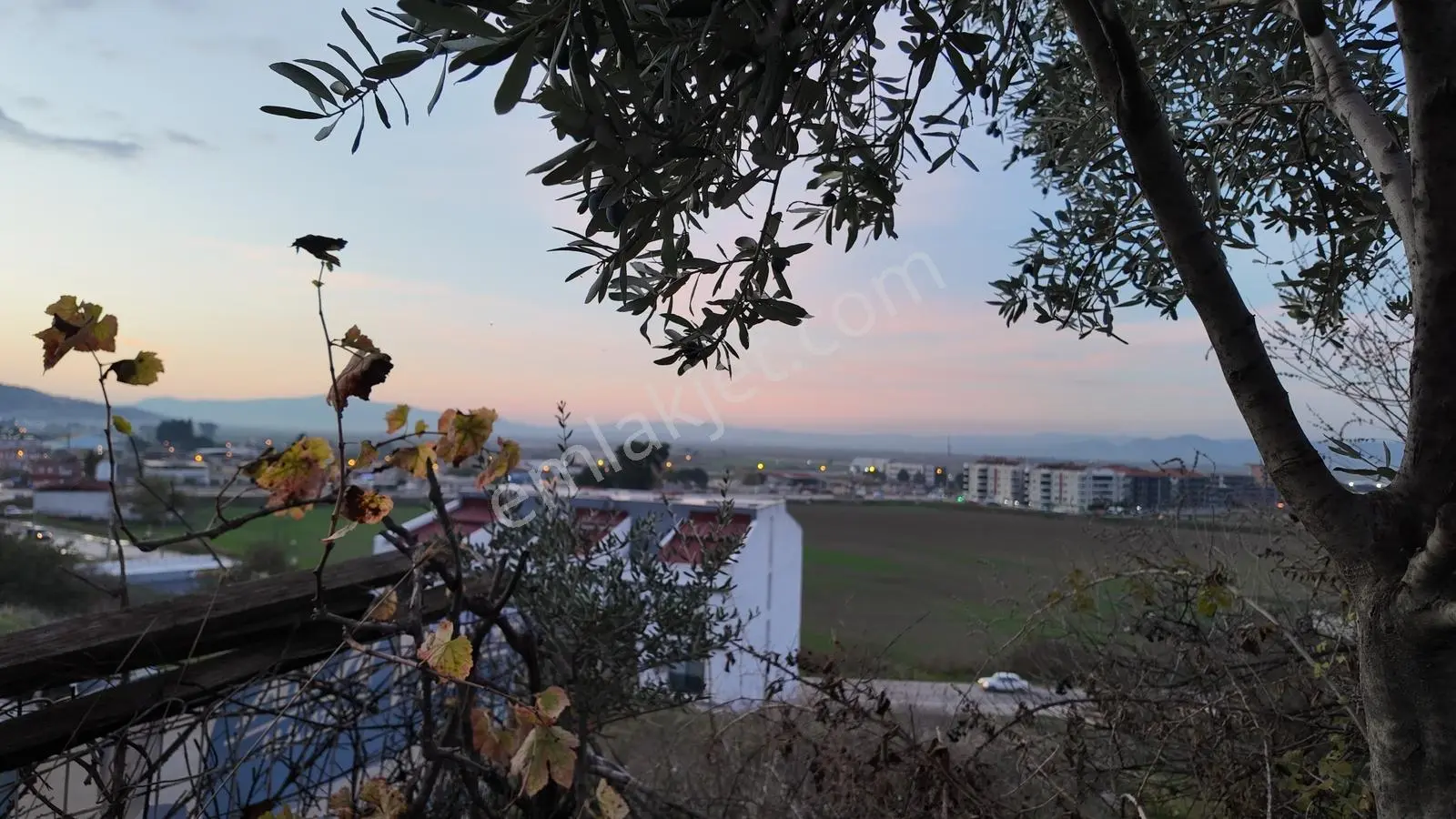 Gündoğan'da Zeytin Ağaçlı, Villa İmarlı Satılık Hobi Bahçesi! — fotoğraf 17