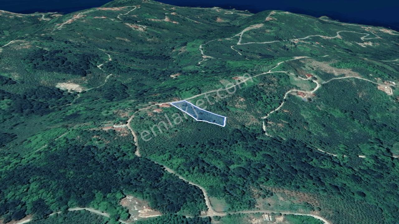 Perşembe Çaytepe'de Yason Manzaralı Fırsat Arsa | 3201 M² — fotoğraf 4