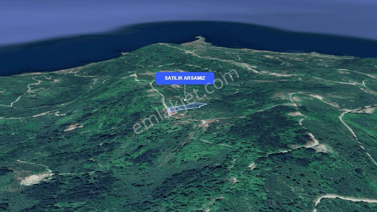 Perşembe Çaytepe'de Yason Manzaralı Fırsat Arsa | 3201 M² — fotoğraf 5