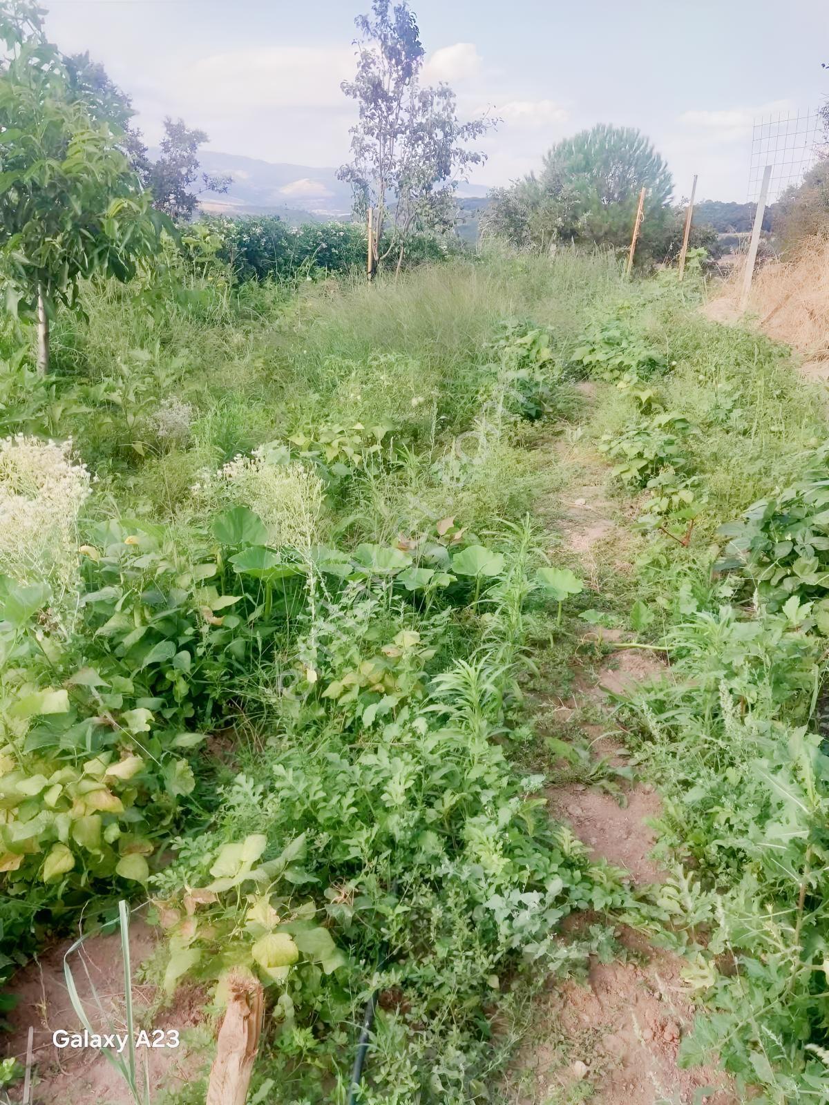 Balcity-balya Danişment'te Tek Tapulu 115 M2 Yazlık Müstakil Ev — fotoğraf 15