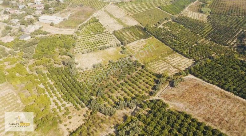 Ahmet Kara'dan Kürkçü Mah.osb Bölgesinde Satılık 32800 M² Arazi — fotoğraf 2