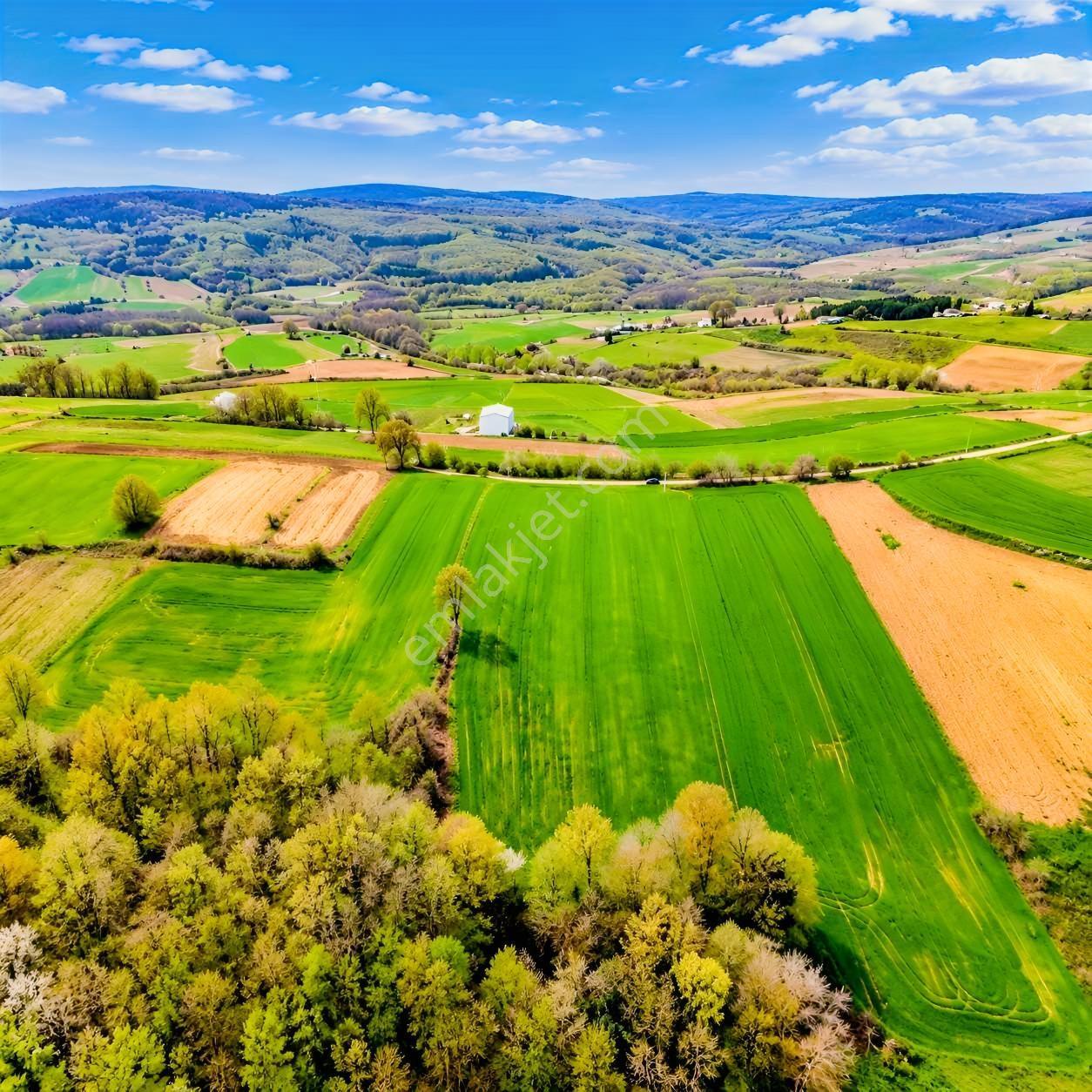 İskenderoğlu İnşaat Emlak Güvencesiyle Satılık 7.000 M² Tarla — fotoğraf 2