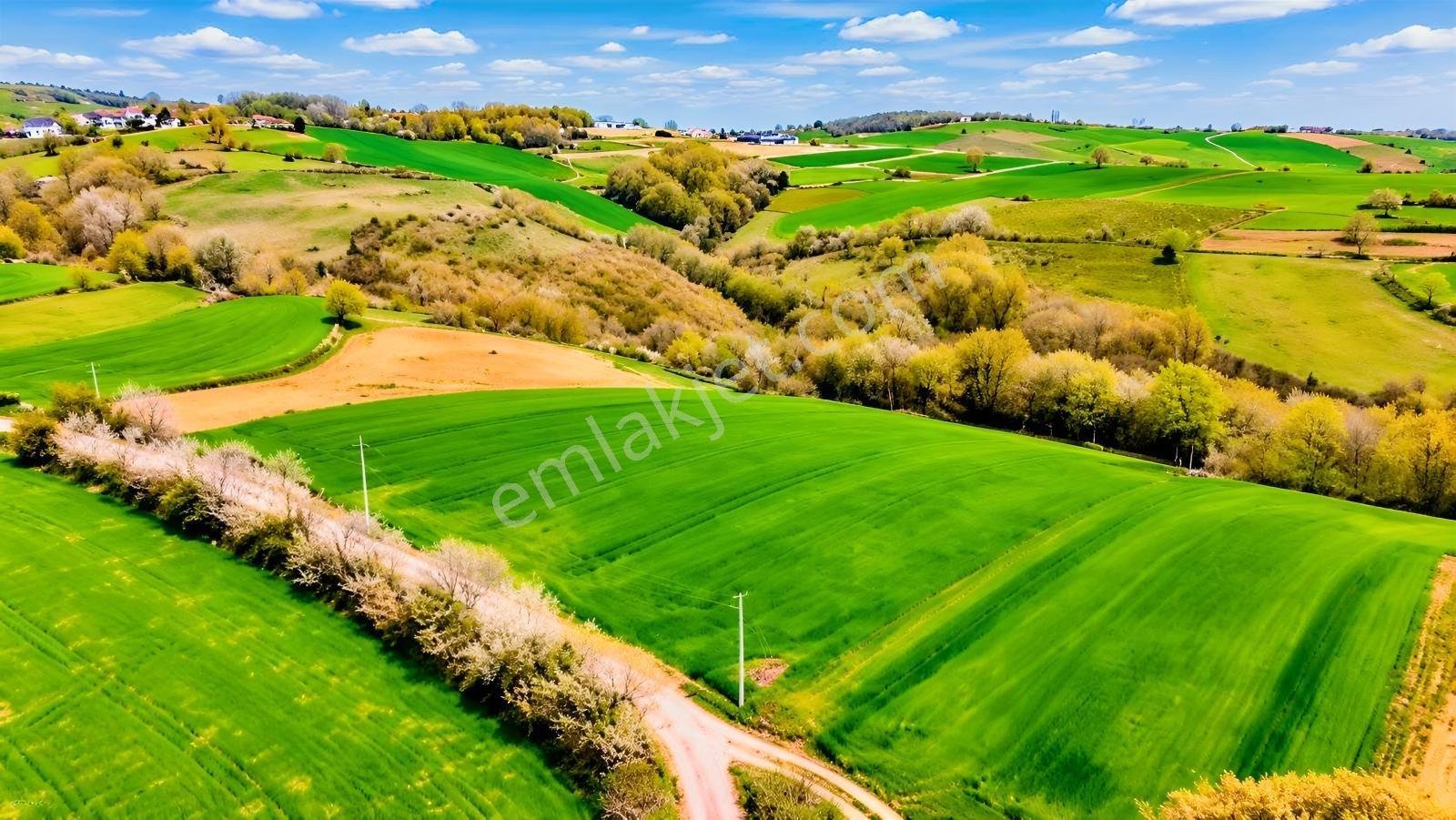 İskenderoğlu İnşaat Emlak Güvencesiyle Satılık 7.000 M² Tarla — fotoğraf 4