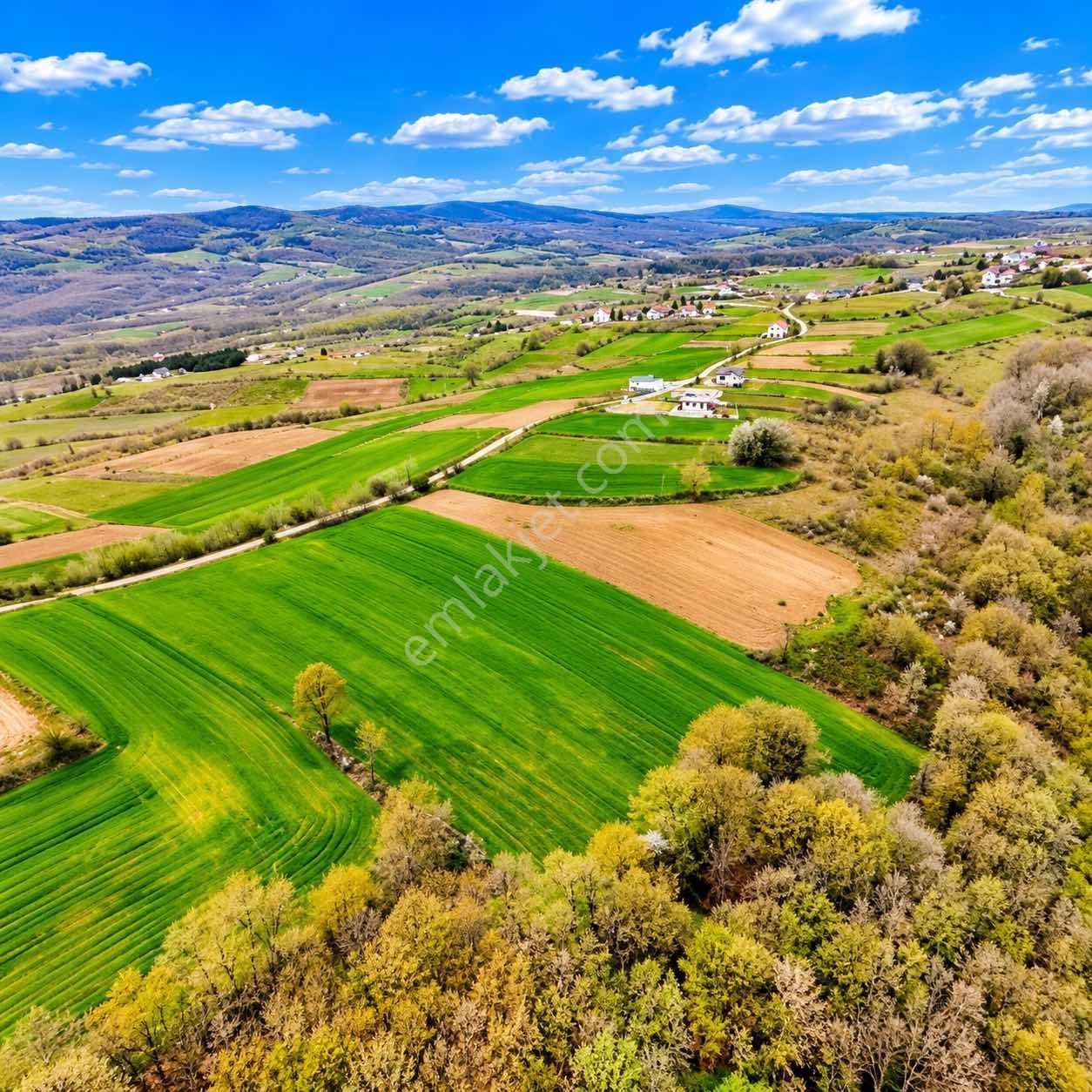 İskenderoğlu İnşaat Emlak Güvencesiyle Satılık 7.000 M² Tarla — fotoğraf 5