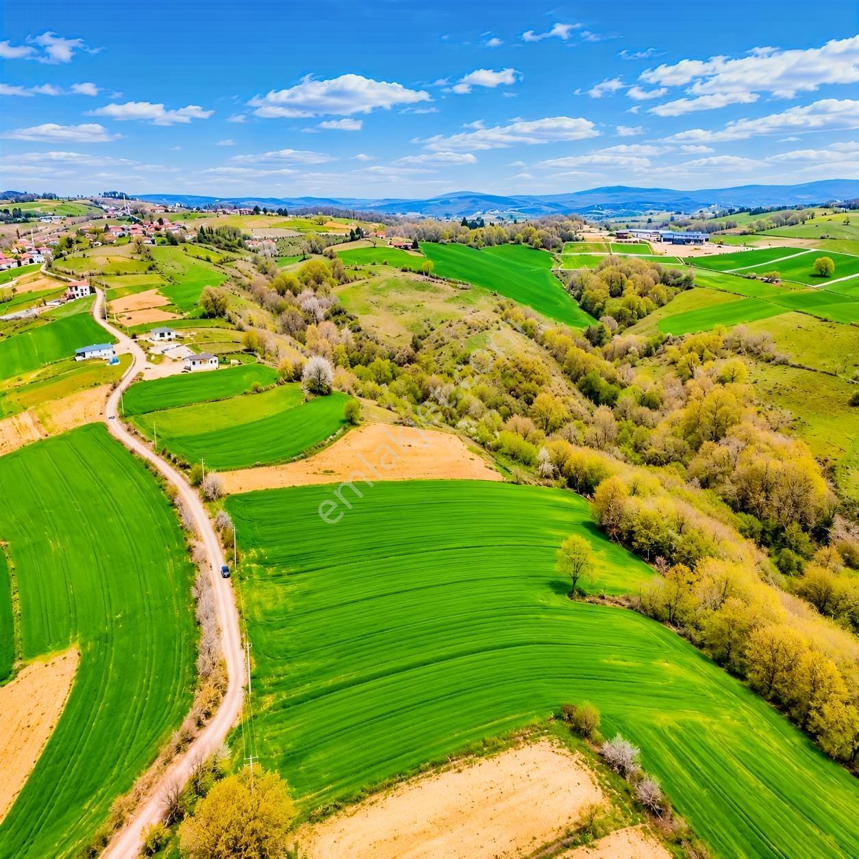 İskenderoğlu İnşaat Emlak Güvencesiyle Satılık 7.000 M² Tarla — fotoğraf 6