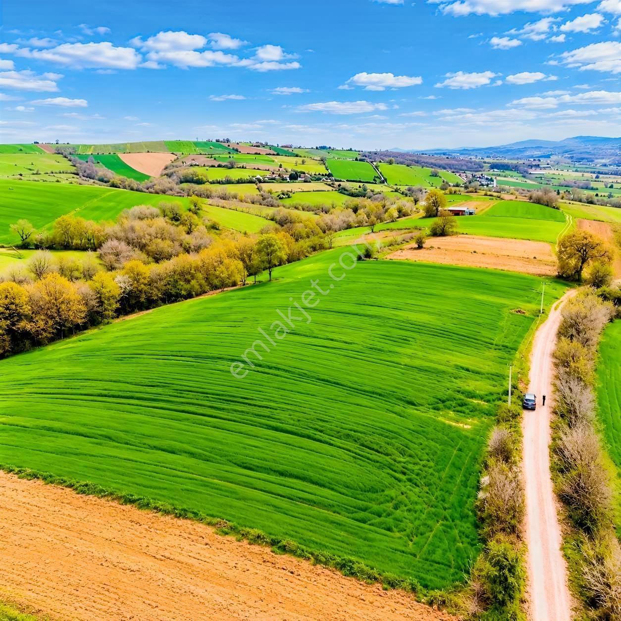 İskenderoğlu İnşaat Emlak Güvencesiyle Satılık 7.000 M² Tarla — fotoğraf 7