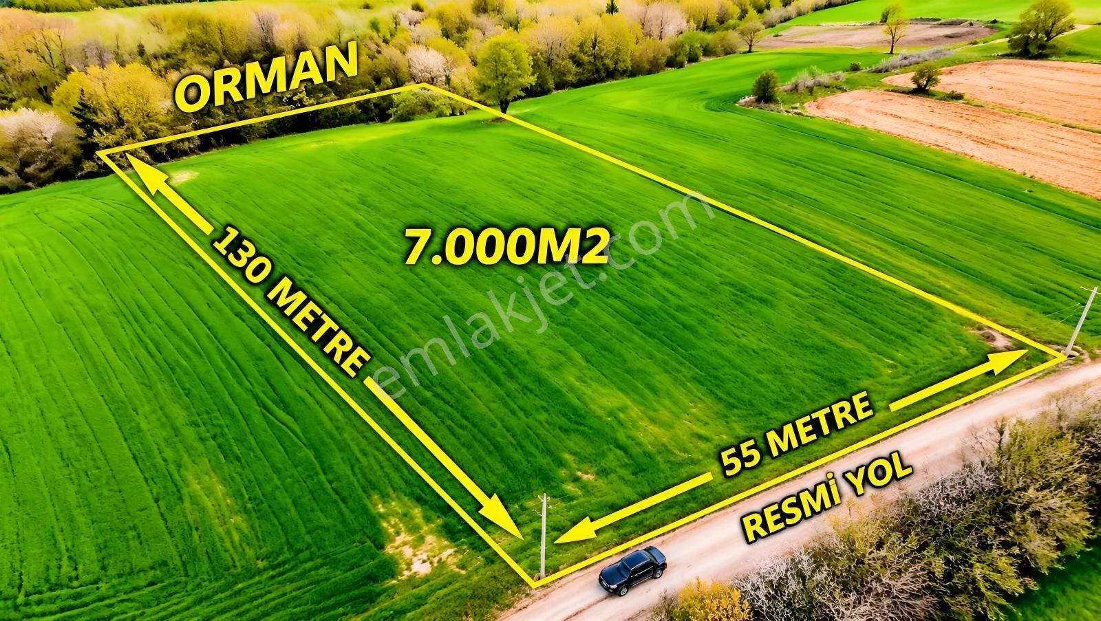 İskenderoğlu İnşaat Emlak Güvencesiyle Satılık 7.000 M² Tarla — fotoğraf 8