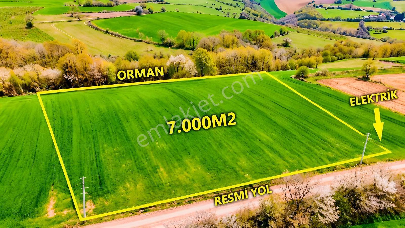 İskenderoğlu İnşaat Emlak Güvencesiyle Satılık 7.000 M² Tarla — fotoğraf 9