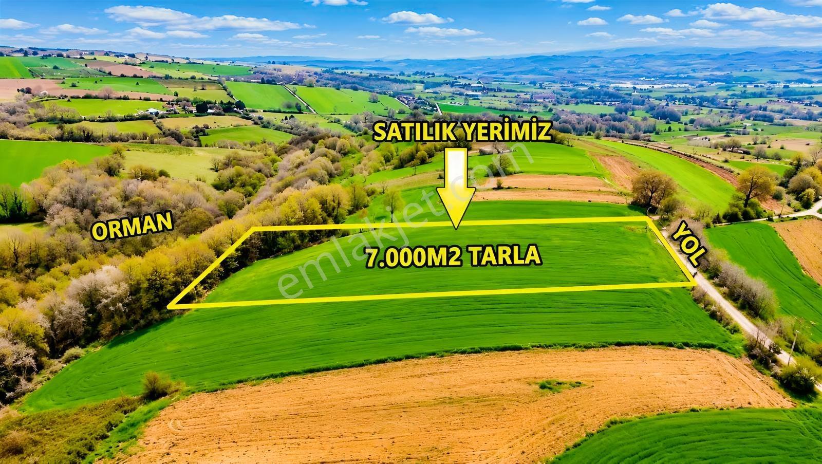 İskenderoğlu İnşaat Emlak Güvencesiyle Satılık 7.000 M² Tarla — fotoğraf 11