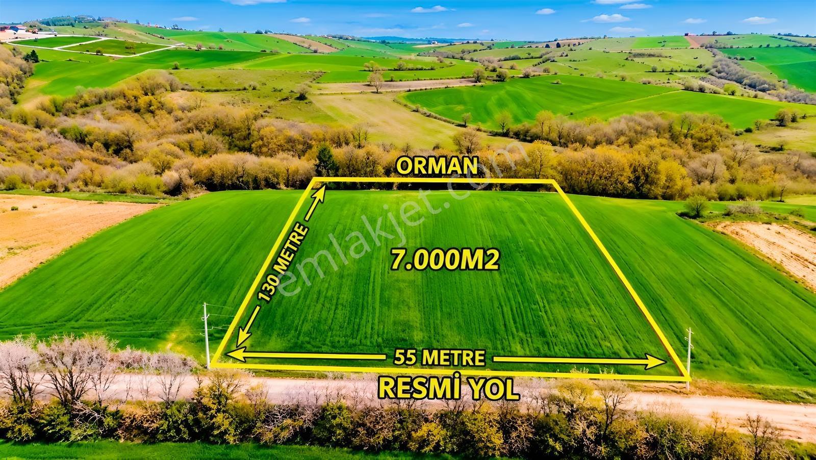 İskenderoğlu İnşaat Emlak Güvencesiyle Satılık 7.000 M² Tarla — fotoğraf 12