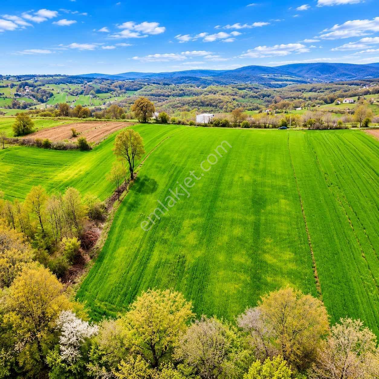 İskenderoğlu İnşaat Emlak Güvencesiyle Satılık 7.000 M² Tarla — fotoğraf 14