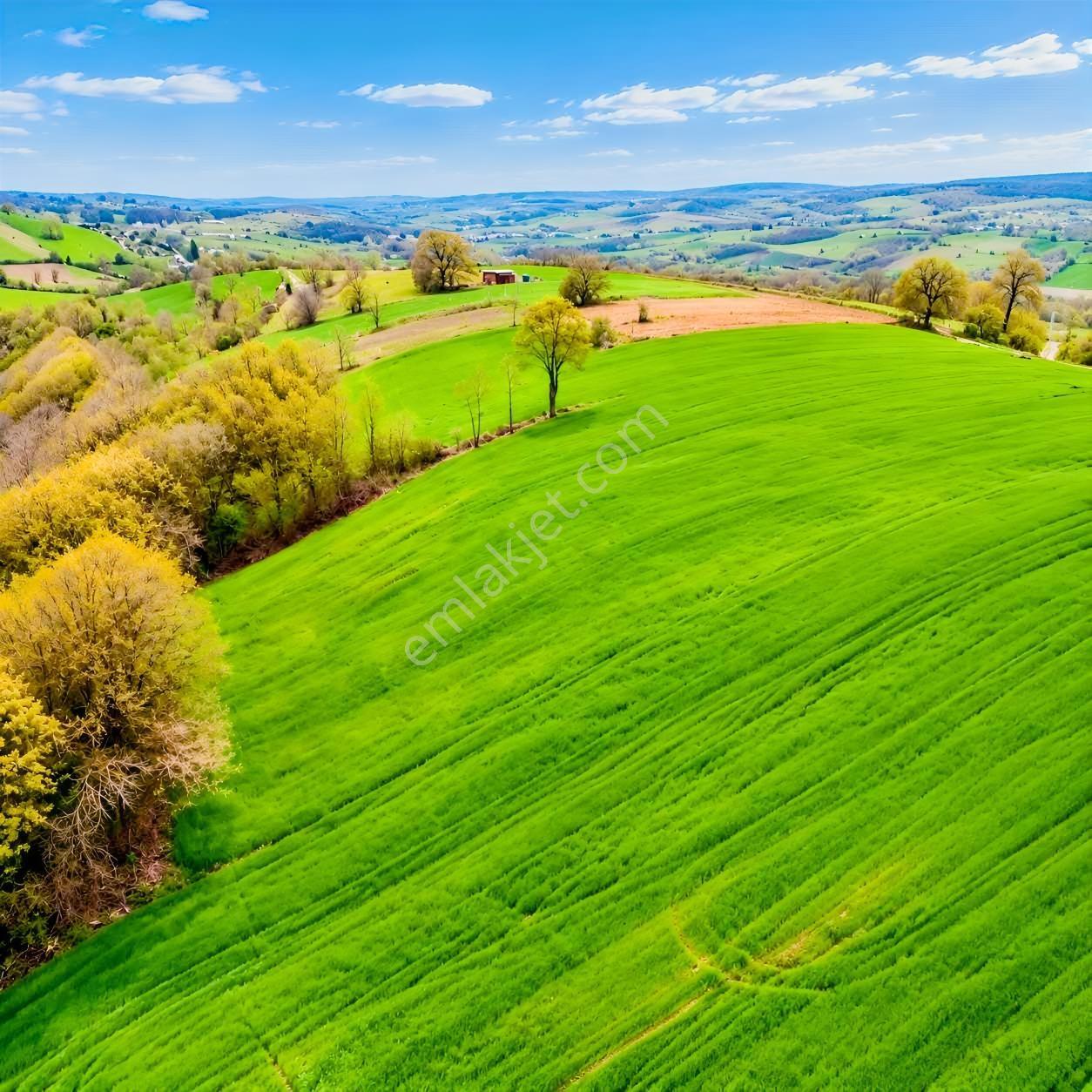 İskenderoğlu İnşaat Emlak Güvencesiyle Satılık 7.000 M² Tarla — fotoğraf 15