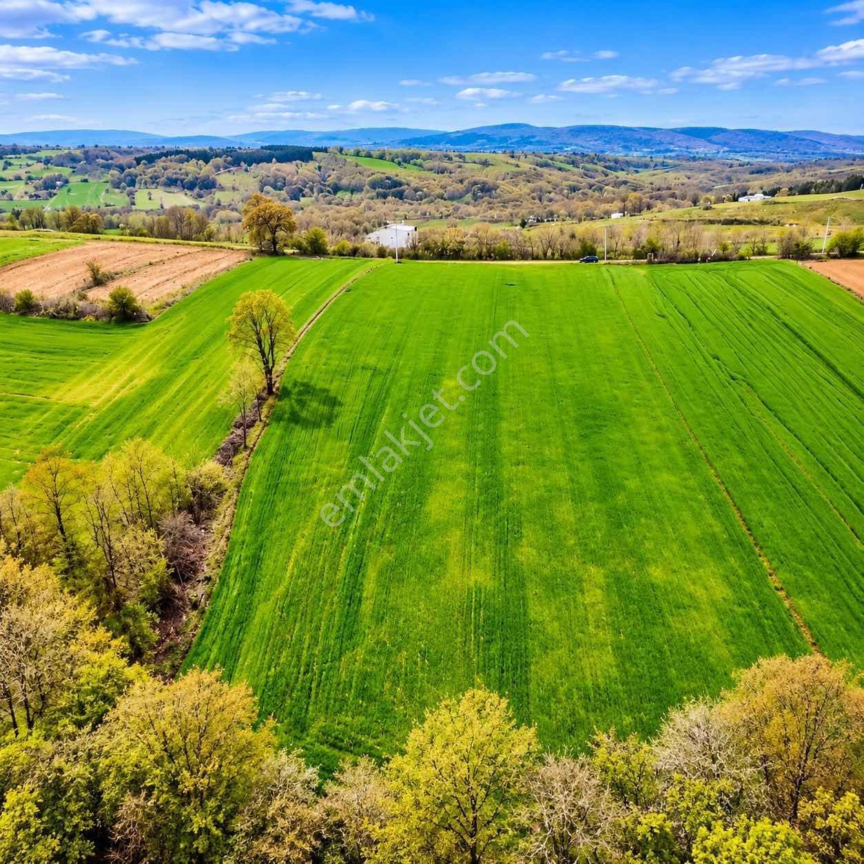 İskenderoğlu İnşaat Emlak Güvencesiyle Satılık 7.000 M² Tarla — fotoğraf 16