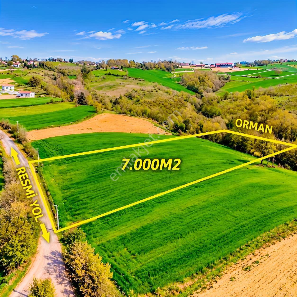 İskenderoğlu İnşaat Emlak Güvencesiyle Satılık 7.000 M² Tarla — fotoğraf 17