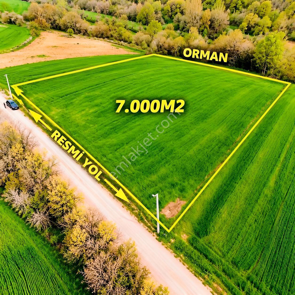 İskenderoğlu İnşaat Emlak Güvencesiyle Satılık 7.000 M² Tarla — fotoğraf 18