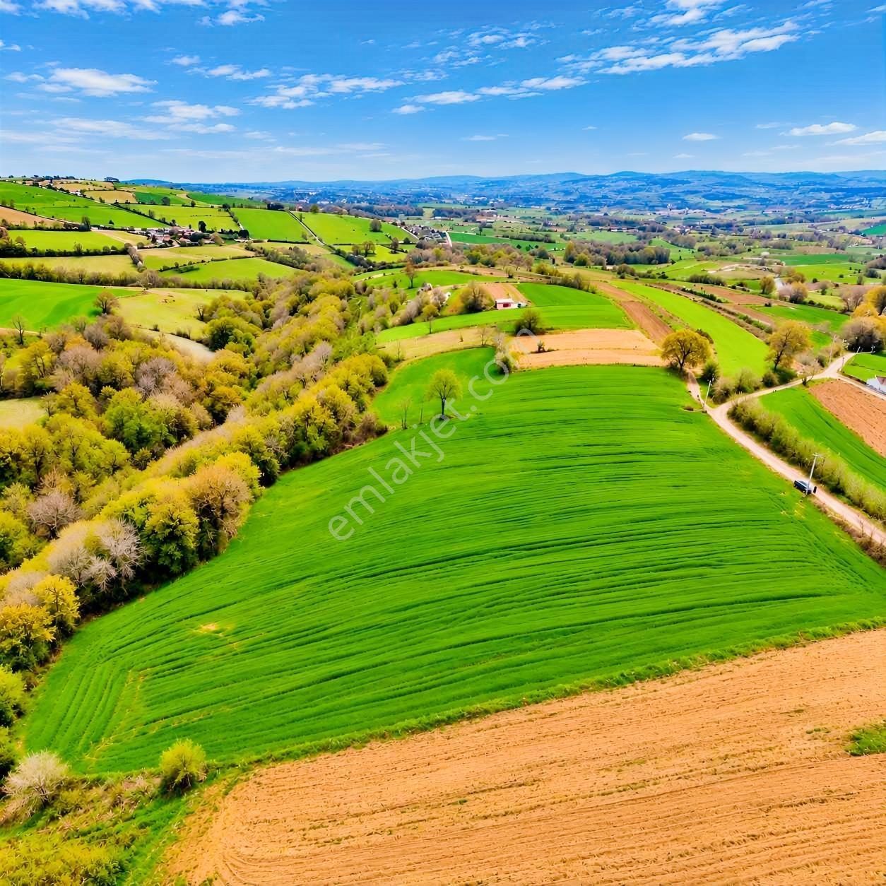 İskenderoğlu İnşaat Emlak Güvencesiyle Satılık 7.000 M² Tarla — fotoğraf 19