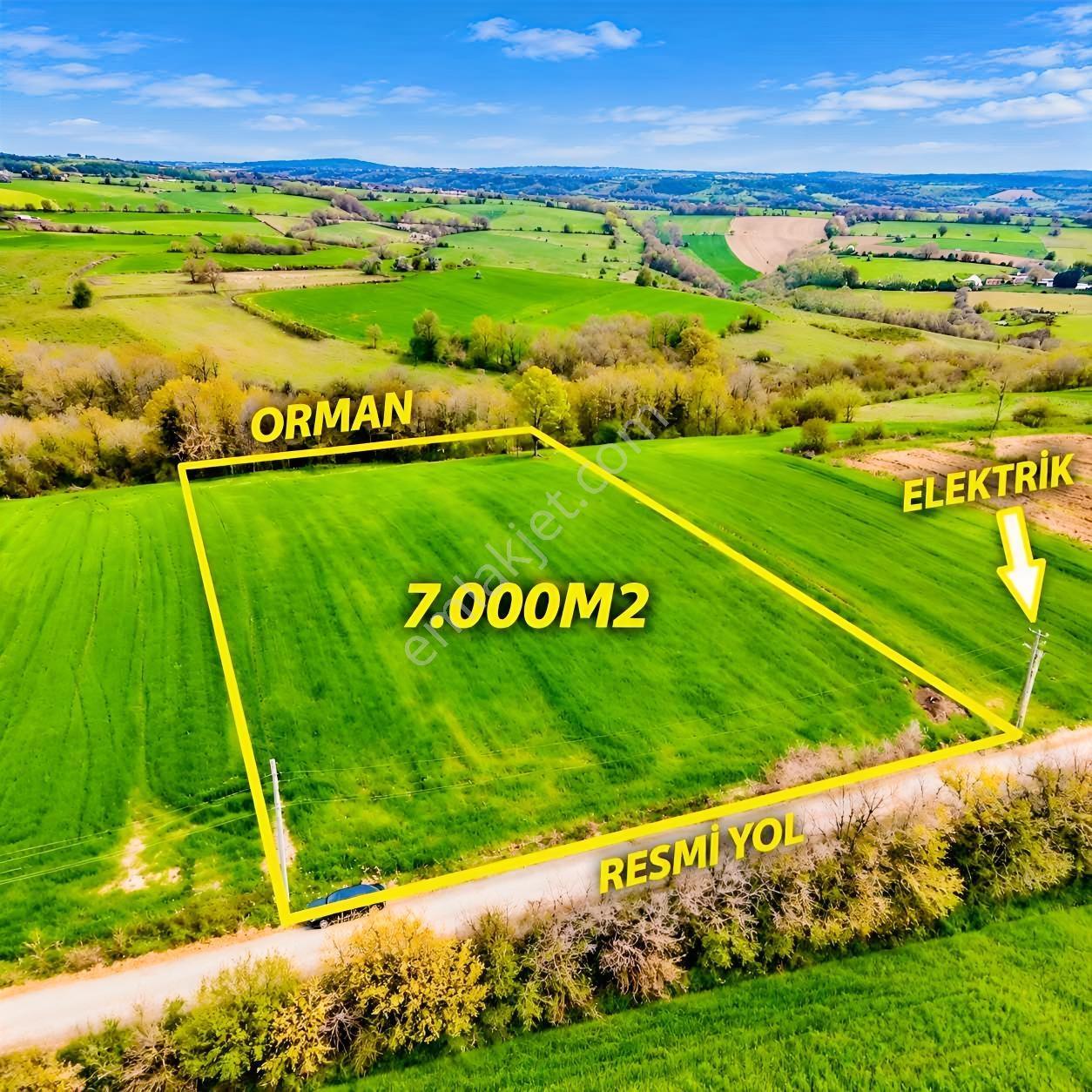 İskenderoğlu İnşaat Emlak Güvencesiyle Satılık 7.000 M² Tarla — fotoğraf 20
