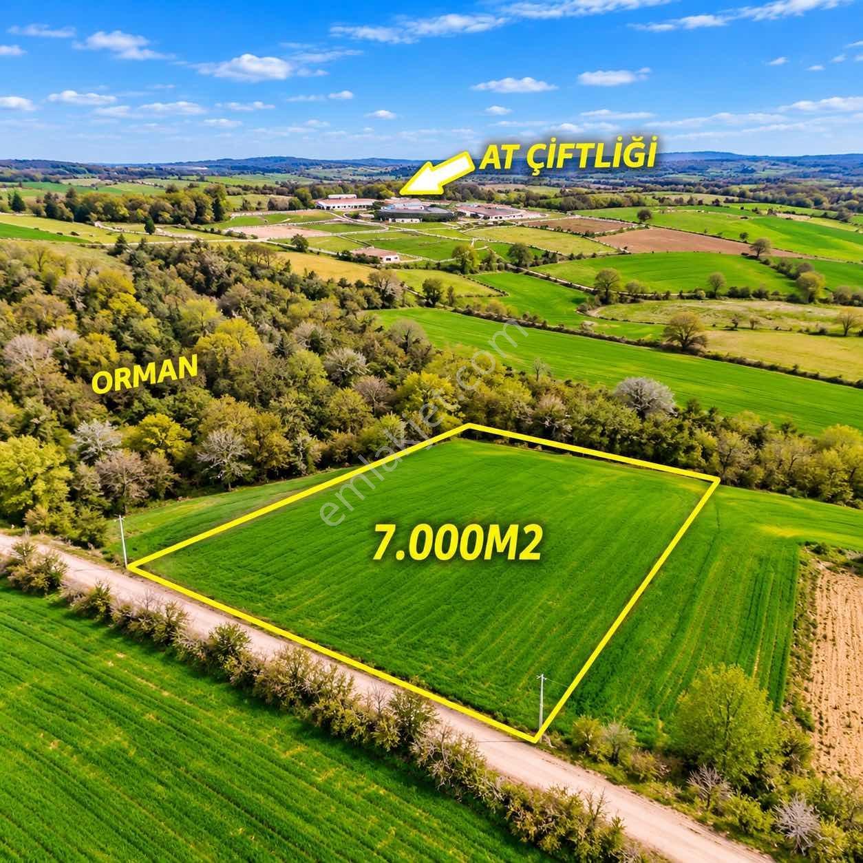 İskenderoğlu İnşaat Emlak Güvencesiyle Satılık 7.000 M² Tarla — fotoğraf 21