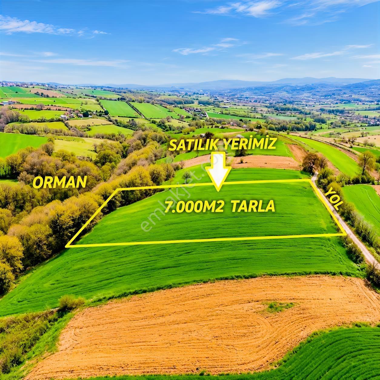 İskenderoğlu İnşaat Emlak Güvencesiyle Satılık 7.000 M² Tarla — fotoğraf 23