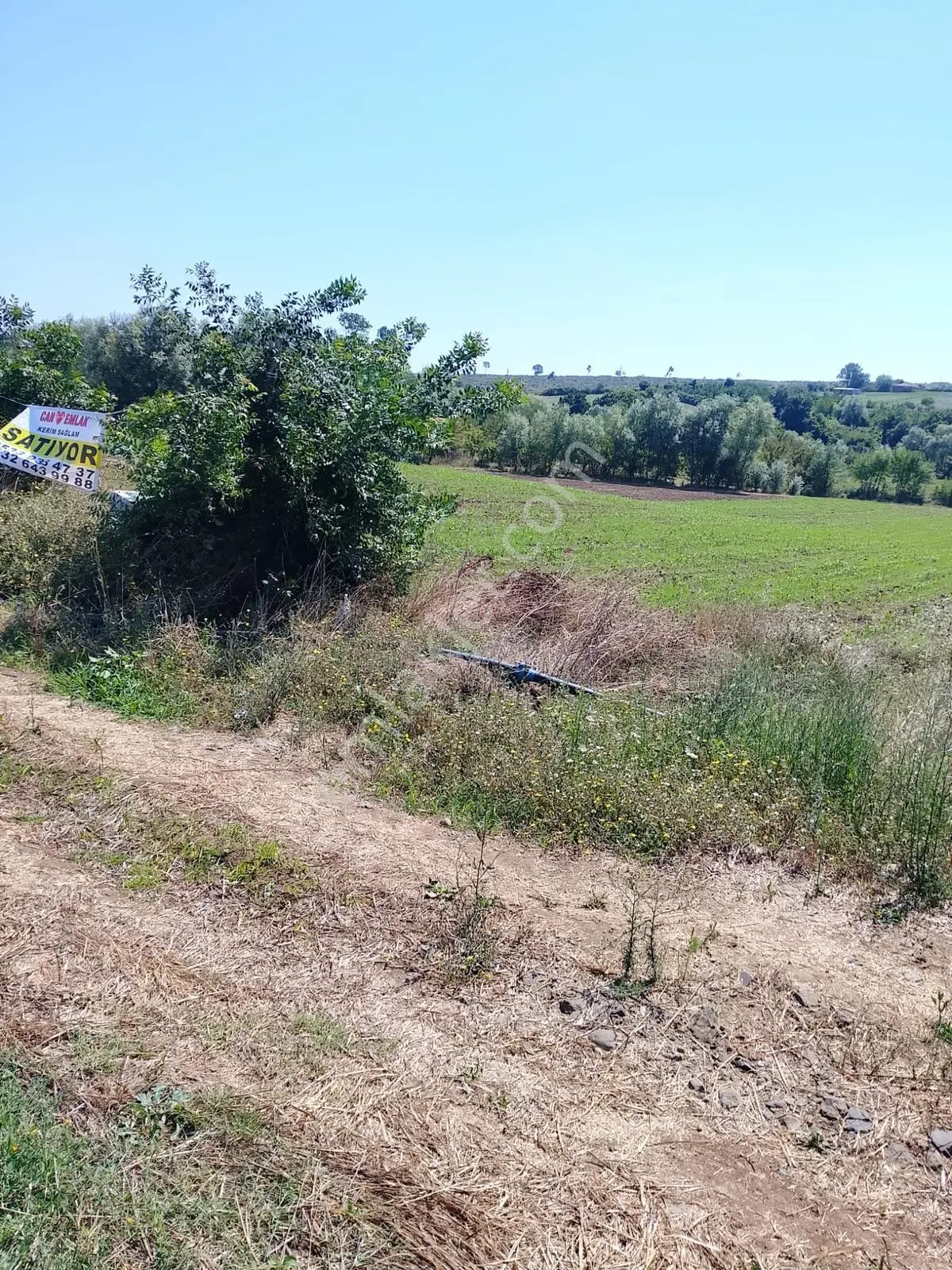 Bafra Lengerlide Yatırımlık Satılık Tarla
