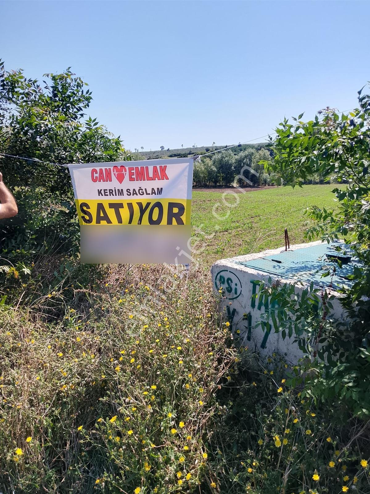 Bafra Lengerlide Yatırımlık Satılık Tarla — fotoğraf 4