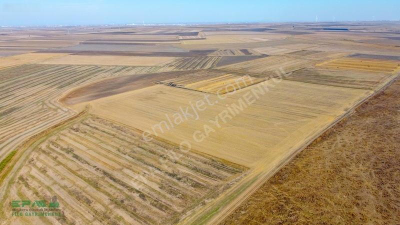 Tekirdağ Muratlı Kırkkepenekli 27.600 M² Satılık Tarla — fotoğraf 5