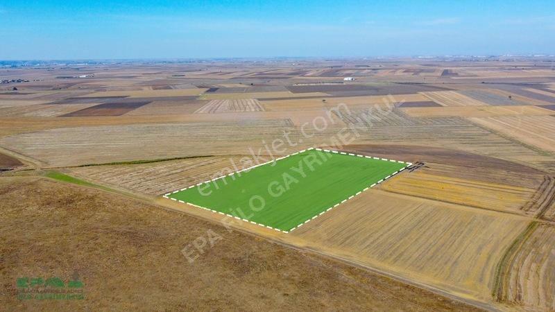 Tekirdağ Muratlı Kırkkepenekli 27.600 M² Satılık Tarla — fotoğraf 6