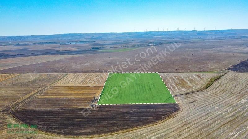 Tekirdağ Muratlı Kırkkepenekli 27.600 M² Satılık Tarla — fotoğraf 8