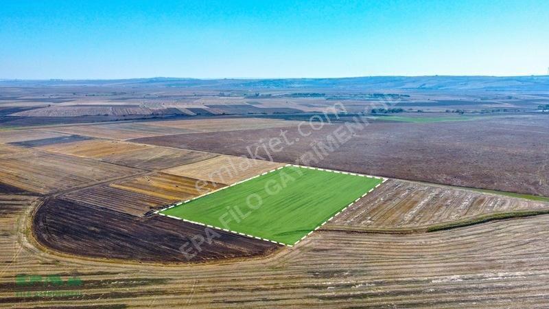 Tekirdağ Muratlı Kırkkepenekli 27.600 M² Satılık Tarla — fotoğraf 9