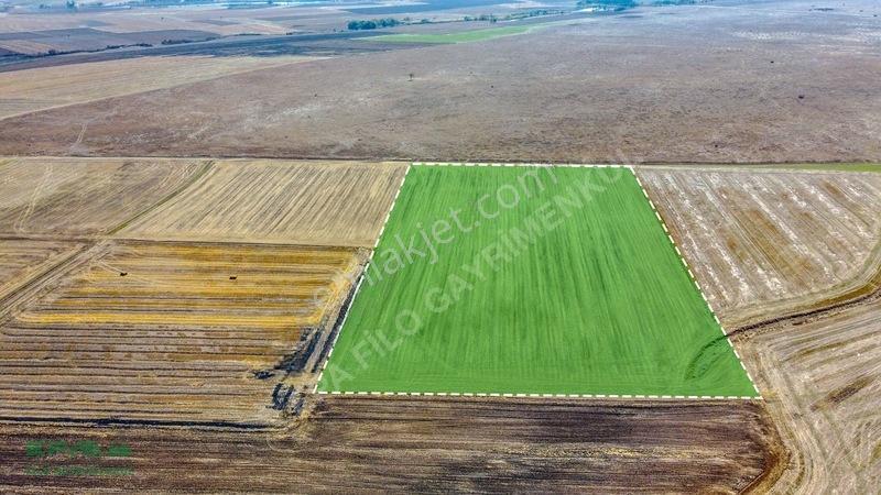 Tekirdağ Muratlı Kırkkepenekli 27.600 M² Satılık Tarla — fotoğraf 10