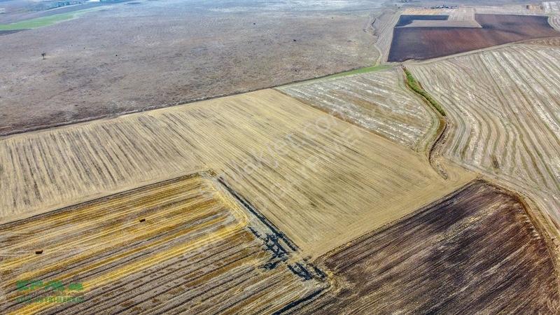 Tekirdağ Muratlı Kırkkepenekli 27.600 M² Satılık Tarla — fotoğraf 11