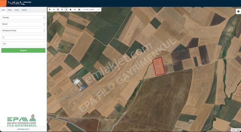 Tekirdağ Muratlı Kırkkepenekli 27.600 M² Satılık Tarla — fotoğraf 14