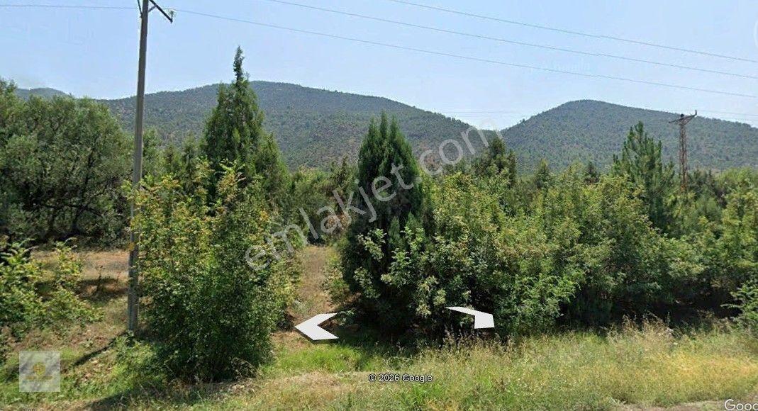 Sarıcakaya Mayıslar Mahallesinde Anayol Cepheli Satılık Tarla — fotoğraf 6