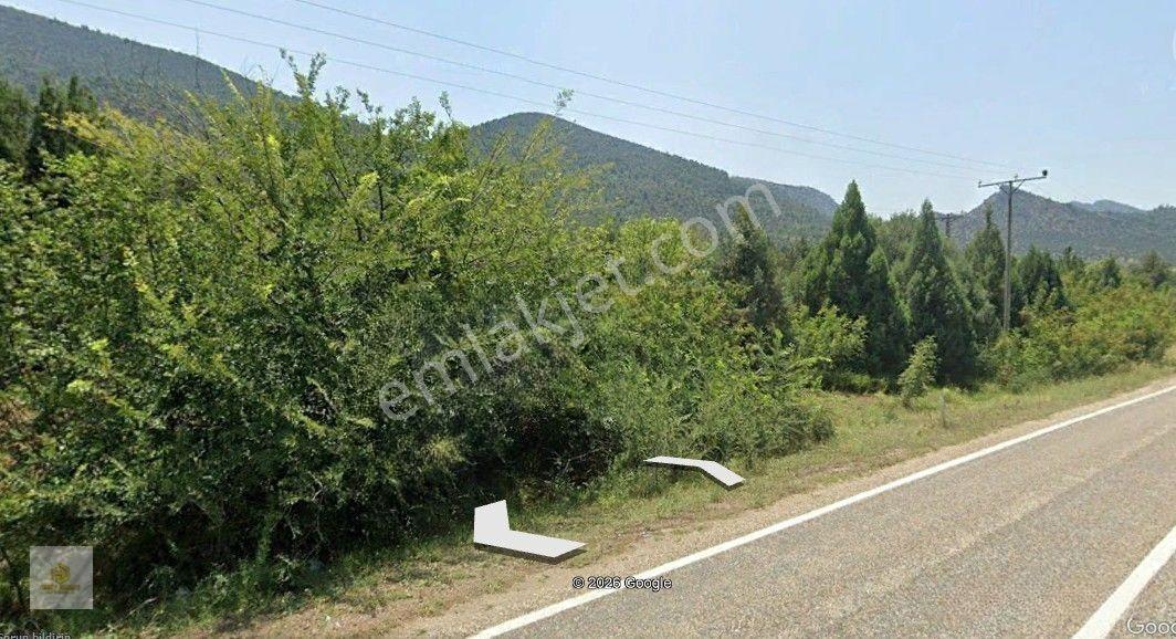 Sarıcakaya Mayıslar Mahallesinde Anayol Cepheli Satılık Tarla — fotoğraf 12