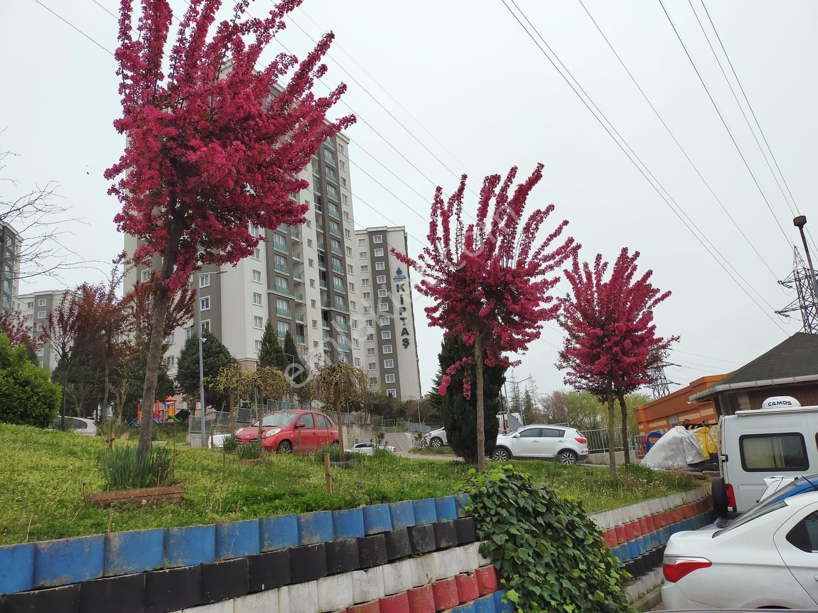 Kiptaş Kyb. Knt. Şehir Hast. Ve Okul Yakını 2+1 Satılık Daire — fotoğraf 13