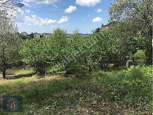 Beykoz Elmalı'da Villa İmarlı 1.326 M2 Müstakil Tapulu Arsa — fotoğraf 3