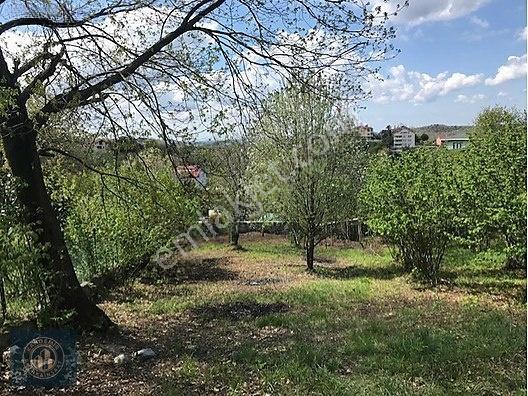 Beykoz Elmalı'da Villa İmarlı 1.326 M2 Müstakil Tapulu Arsa — fotoğraf 4