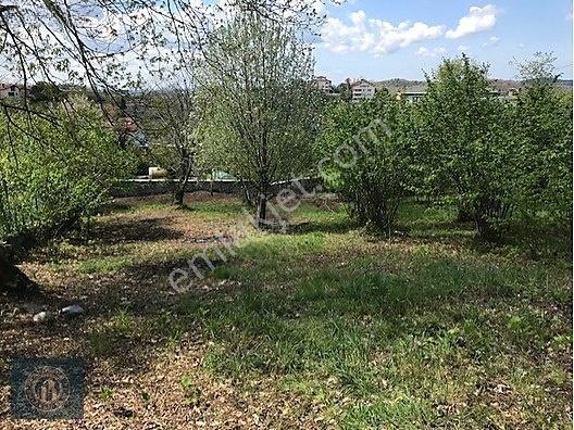 Beykoz Elmalı'da Villa İmarlı 1.326 M2 Müstakil Tapulu Arsa — fotoğraf 5