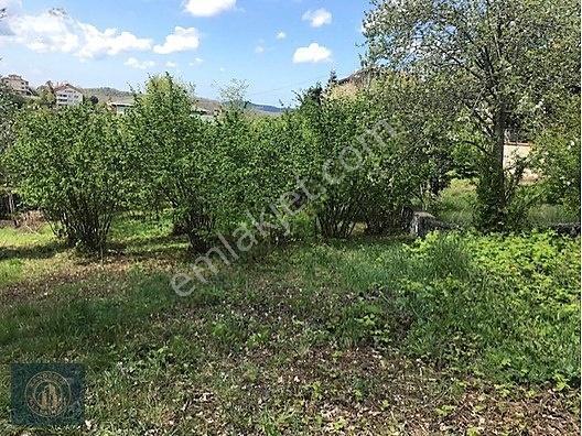 Beykoz Elmalı'da Villa İmarlı 1.326 M2 Müstakil Tapulu Arsa — fotoğraf 6