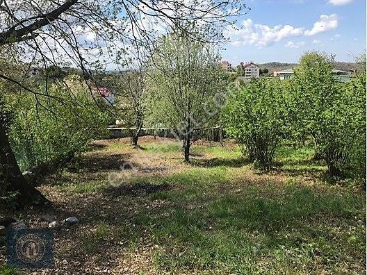 Beykoz Elmalı'da Villa İmarlı 1.326 M2 Müstakil Tapulu Arsa — fotoğraf 8